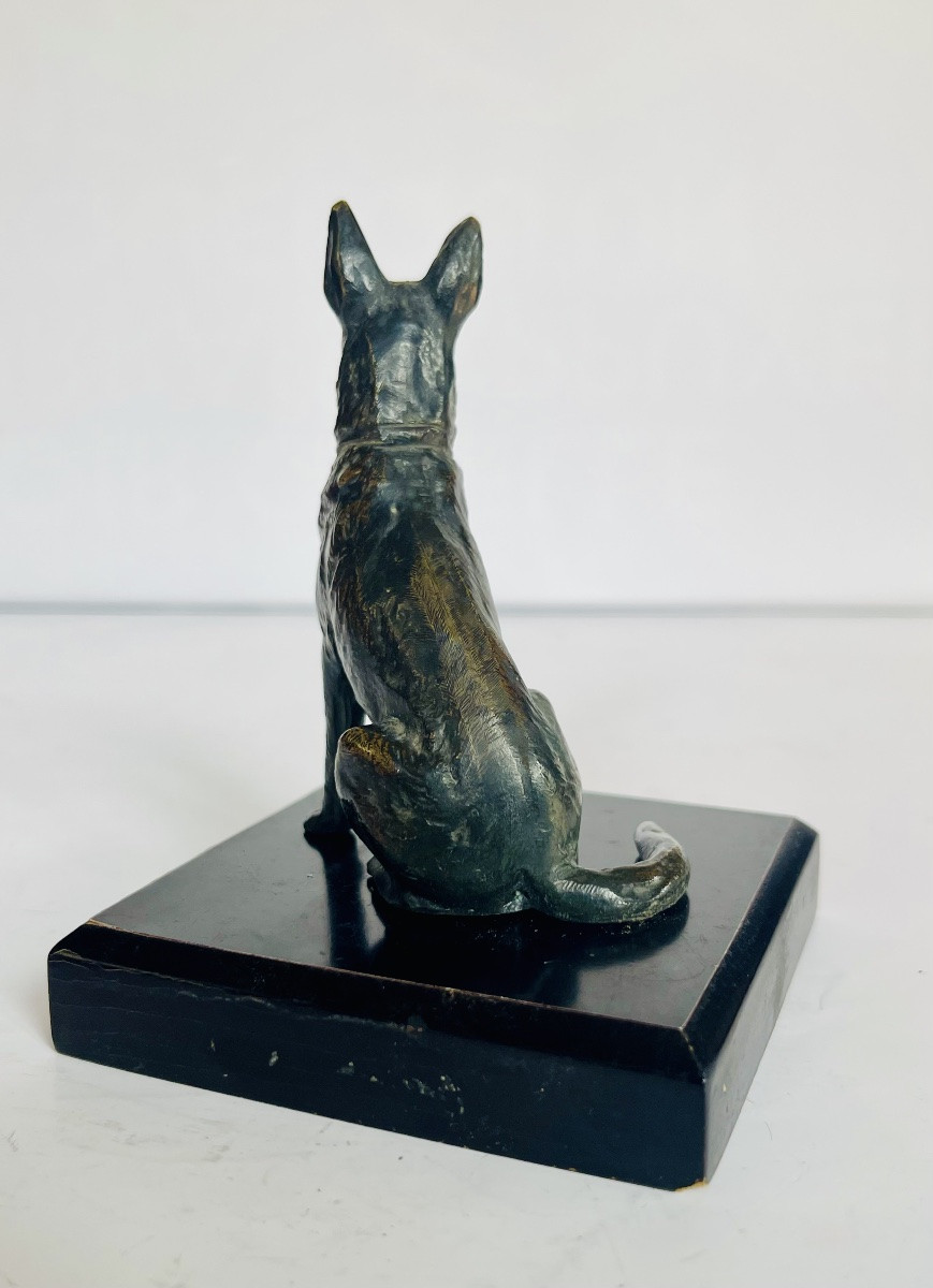 German Bernier Dog In Bronze -photo-3